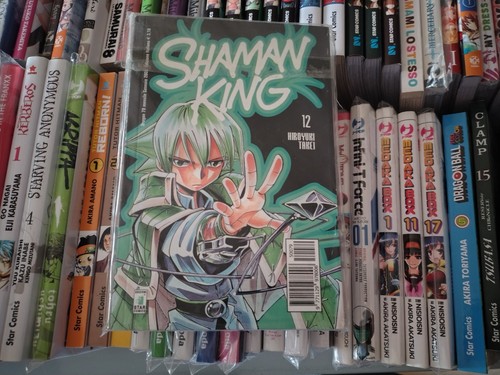 Shaman king hiroyuki - king, takei