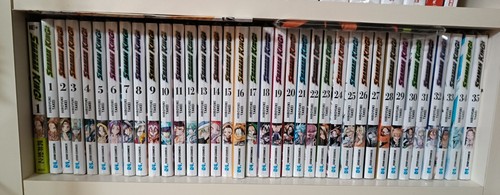 Shaman king final edition - shaman,